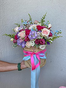 ������ ���� ����