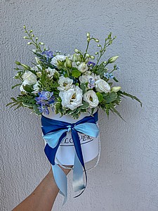 פלוואר בוקס לבן קלאסי פלוואר בוקס לבן קלאסי