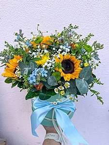 ������ ���� �����