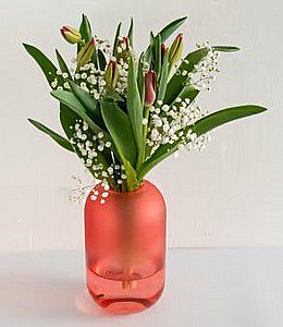 �� ������� ������ ����