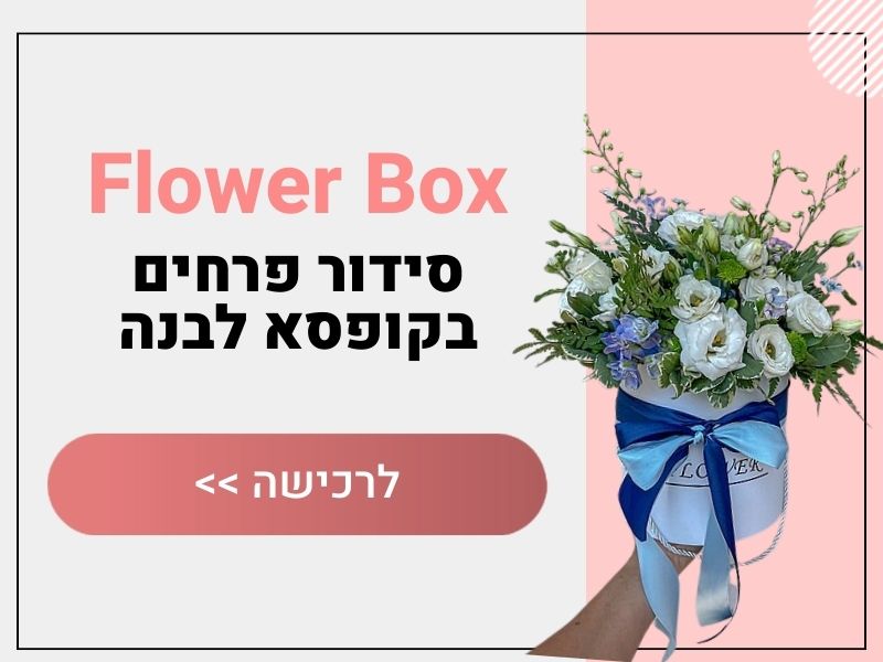 קופסאות פרחים